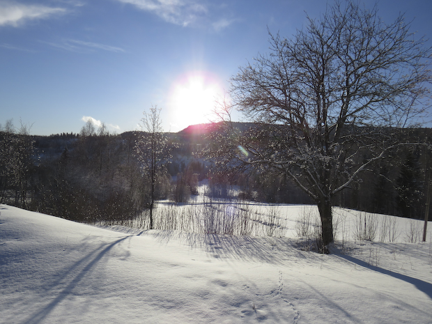 vinter